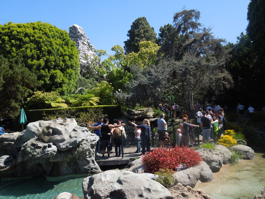 Disneyland Pixie Hollow Picture